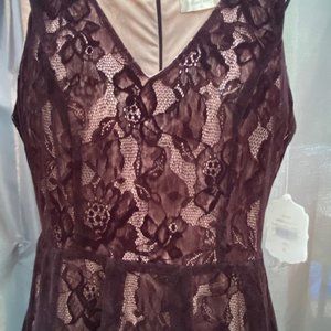 Altar'd State Black Lace, nude shell Dress